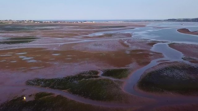 Sky view of the ecosystem in Lympstone England. Water plants as well as wildlife can be seen below. The water seems to have a reddish color. Birds are flying and landing on water plants.