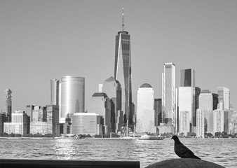 Black and white picture of a pigeon silhouette with blurred Manhattan in background, seen from New Jersey, New York City, USA.