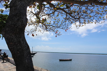 Bahia Brazil