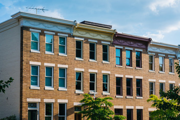 Fototapeta premium Row houses in Federal Hill, Baltimore, Maryland