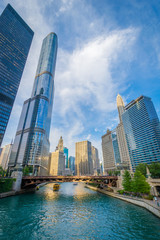 Skyscrapers along the Chicago River, in Chicago, Illinois - obrazy, fototapety, plakaty