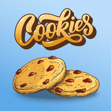 Cookies hand lettering, custom typography, cartoon letters with sketch colorful pair of biscuits. Vector food type illustration