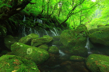夏の元滝伏流水