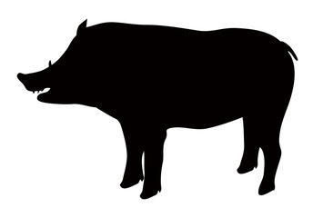 亥　動物　年賀状　アイコン