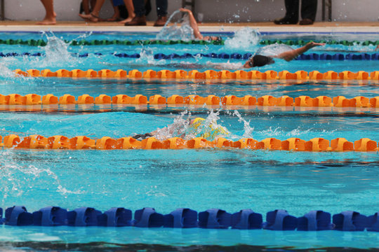 Swimmers swim backstroke or back crawl in a swimming pool for competition or race