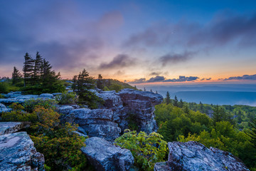 Sunrise view from Bear Rocks Preserve in Dolly Sods Wilderness, Monongahela National Forest, West...
