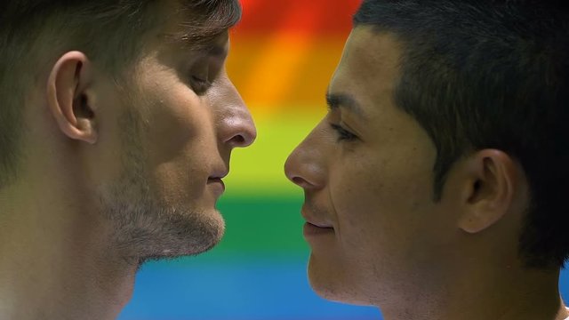 Gays gently kiss on rainbow flag background, minority rights, equality concept