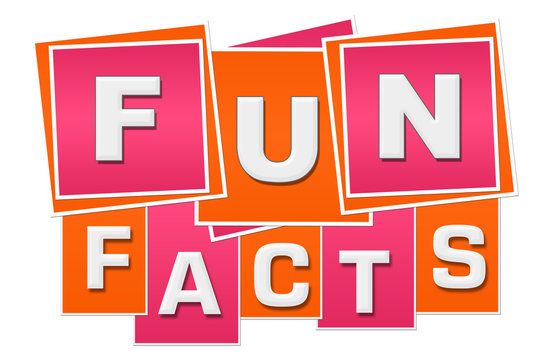 Fun Facts Orange Pink Squares Stripes 