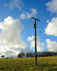 Power lines and  post in a field