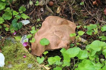 Engel Scherbe Gesicht auf Friedhof aus Ton