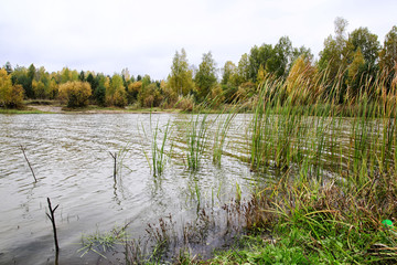 Grass near the calm lake