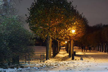 Moscow, Russia. The trees and the glowing street light in the park of Kuskovo. Winter evening in the garden - obrazy, fototapety, plakaty
