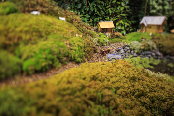 Fototapeta na wymiar Moscow, Russia. Exhibition of mosses at the Botanical garden. Toy, miniature village