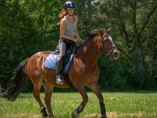Frau model Reiterin reitet auf Pferd auf Wiese in der Natur bei Sonnenschein im Sommer
