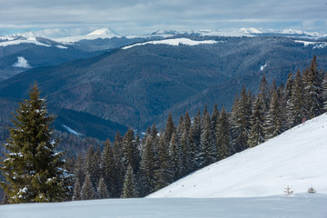 Winter snowy Carpathian mountains, Ukraine