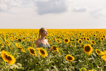 Fototapeta premium model in sunflower field