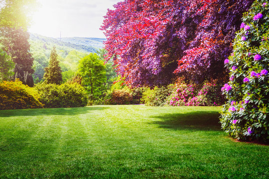 Spring green park.