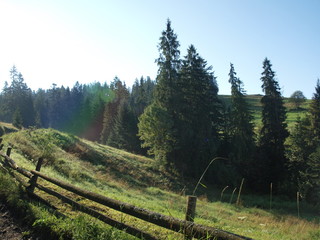 Górska łąka © adamraga