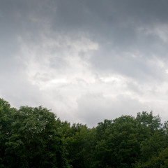 Obraz premium sky and trees background with quite cloudy mood in green and blue colors