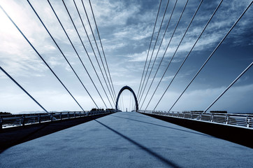 Naklejka premium Modern bridge located in Nanjing, China