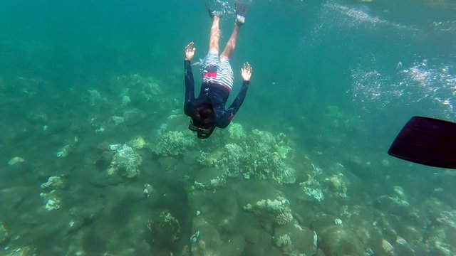 Young boy snorkling in Maui dives underwater surrounded by beautiful fish.