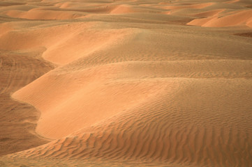 Fototapeta na wymiar sandy dune at Big Sahara desert. Tunisie. Africa