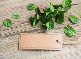 Green mint with old paper tag