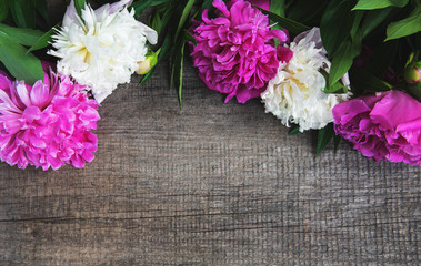 beautiful pink and white peony flowers