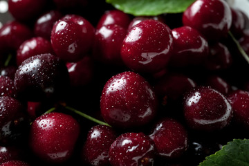 Fresh ripe cherry with water drops, closeup