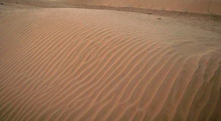 sandy dune at Big Sahara desert. Tunisie. Africa