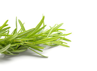 Fototapeta premium Fresh rosemary on white background