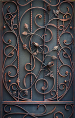 Fototapeta na wymiar beautiful decorative metal elements forged wrought iron gates