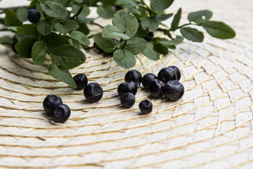 Ягоды черники на светлом фоне