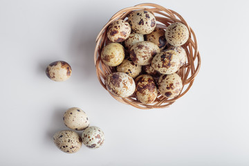 organic quail bird eggs