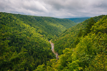 View from Pendleton Point, in Blackwater Falls State Park, West Virginia.