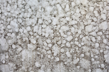 Abstract fungus on the floor, dust on the floor, dirty background