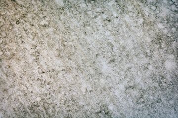 Abstract fungus on the floor, dust on the floor, dirty background
