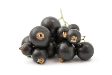 Schwarze Johannisbeeren