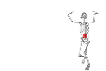 Fototapeta na wymiar 3d skeleton in effort position while lifting a weight. Medical illustration to highlight lower back pain due to fatigue and effort. A red circle highlights the area affected by compressed vertebrae