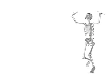 Fototapeta na wymiar 3d skeleton in effort position while lifting a weight. Medical illustration to highlight lower back pain due to fatigue and effort.