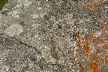 Stone texture - details,  background and texture image