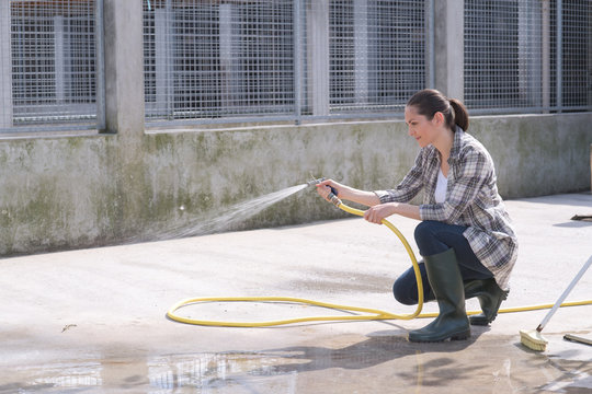 Cleaning Time For Kennel Assistant