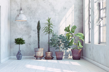 vintage wall with plants set.