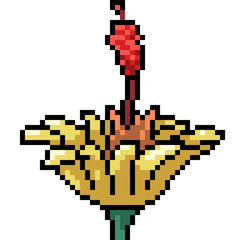 Obraz premium vector pixel art flower bloom