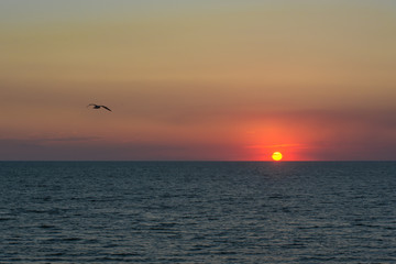 Вечернее море