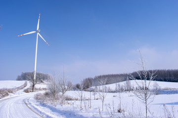 Zima na Mazurach, Gołdap, Polska © Zygfryd