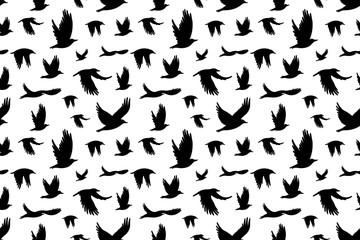 Fototapeta na wymiar Seamless pattern with flock of birds. Vector illustration for printing on clothes, dress, cards, posters, cover for notebook.