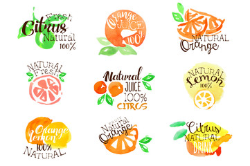 Fesh Citrus Juice Promo Signs Colorful Set