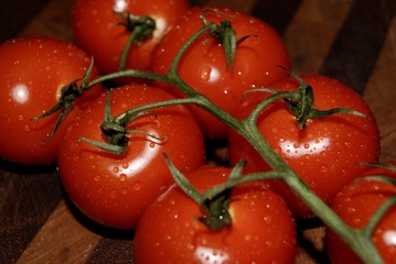 Tomato
