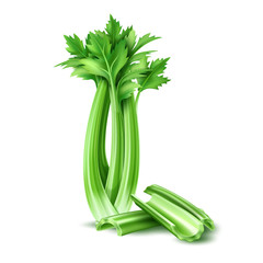 Vector realistic celery salad leaves